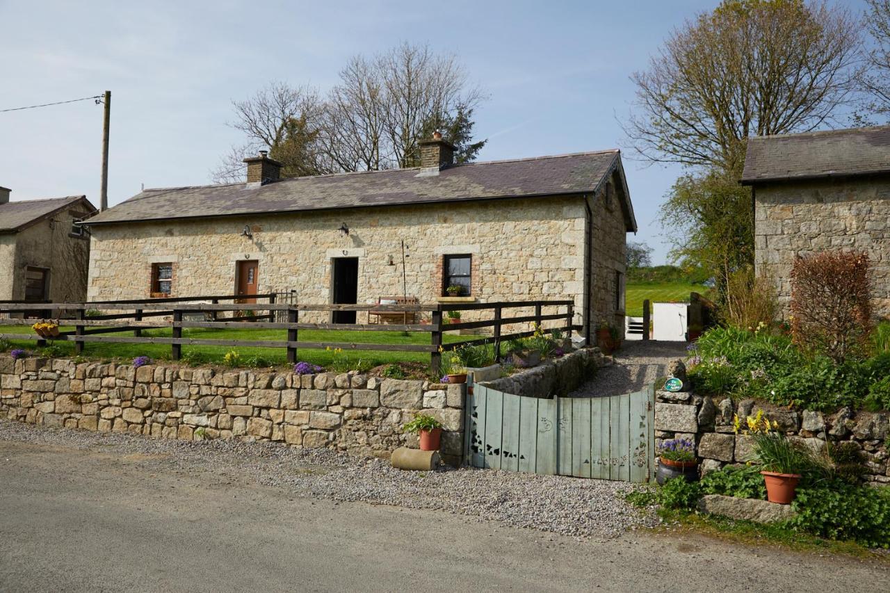 Kilquiggan Cottages Coolkenno Dış mekan fotoğraf